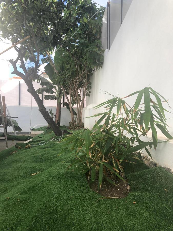 فيلا Tejinaفي Casa Antigua La Embajada المظهر الخارجي الصورة